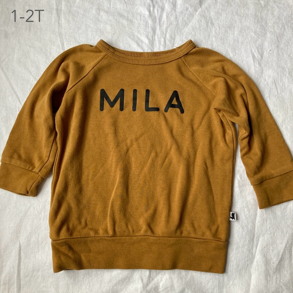 (🎨$3 PLAY) Little & Lively 1T/2T Long Sleeve Top